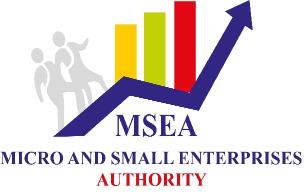 MSEA - Micro and Small Enterprise Authority